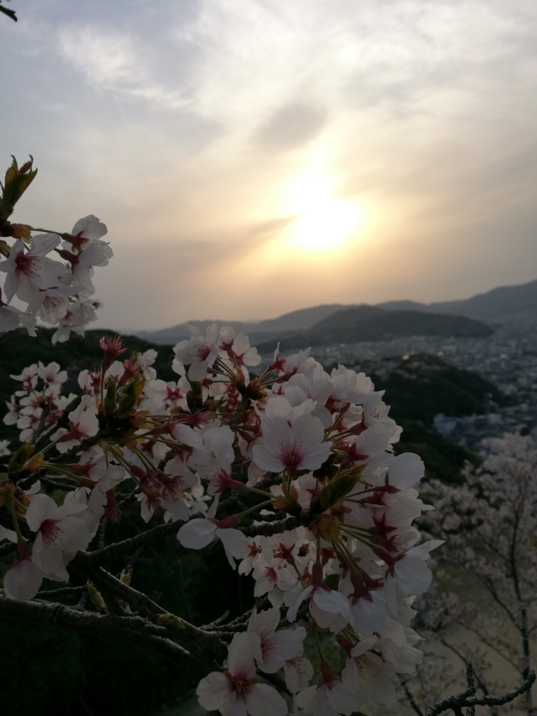 f:id:mkwisp:20180403100923j:plain