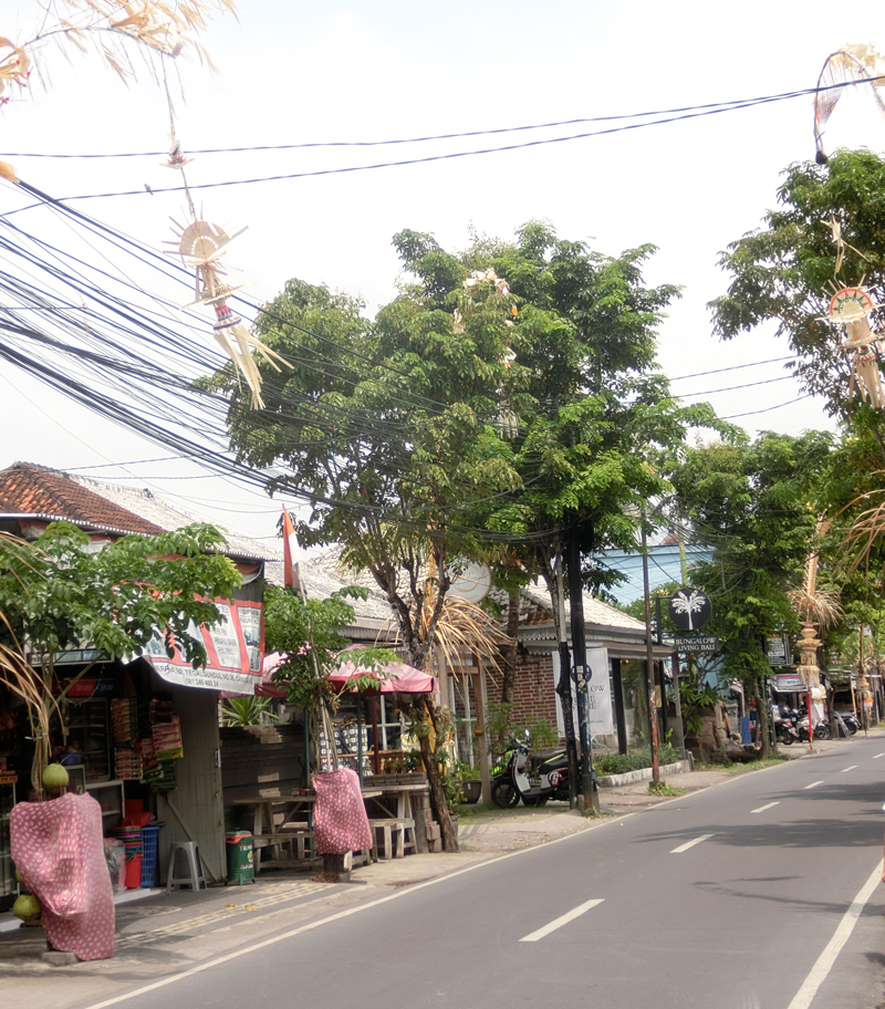 f:id:mlc510:20190303162704j:plain