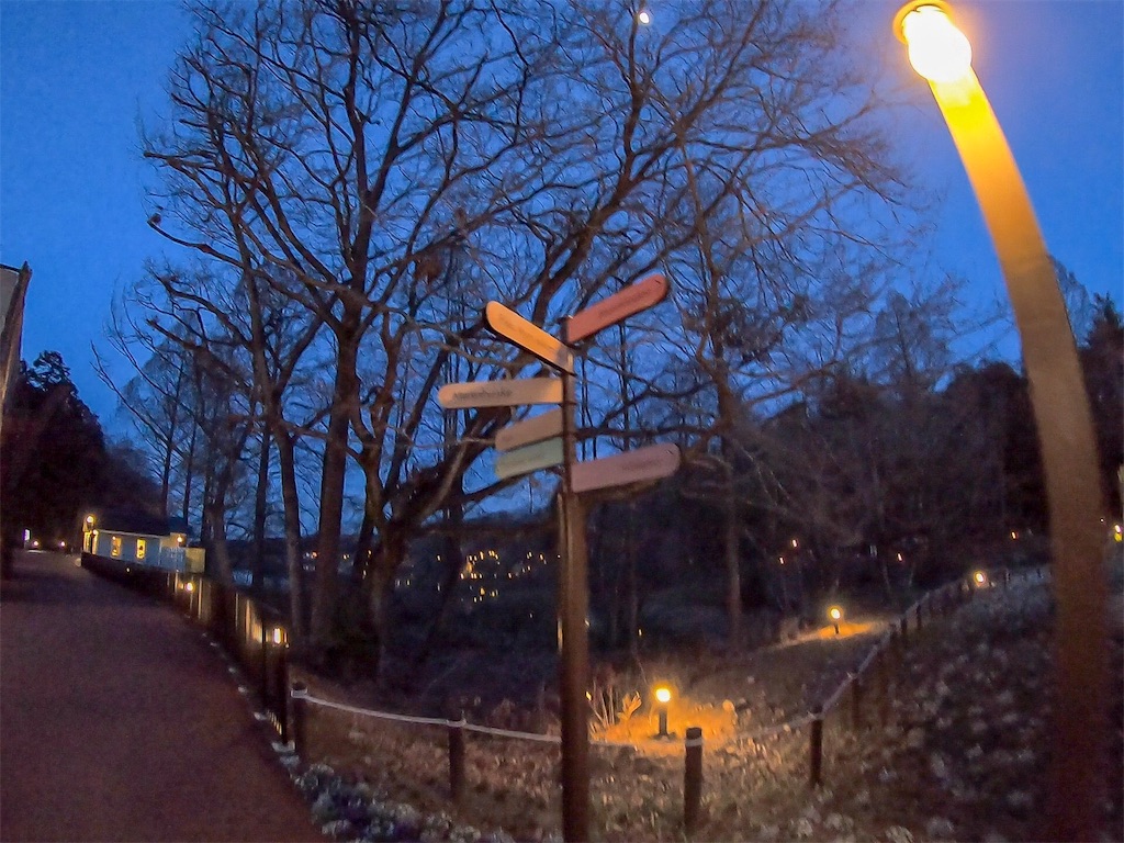 f:id:mlc510:20190320162725j:image