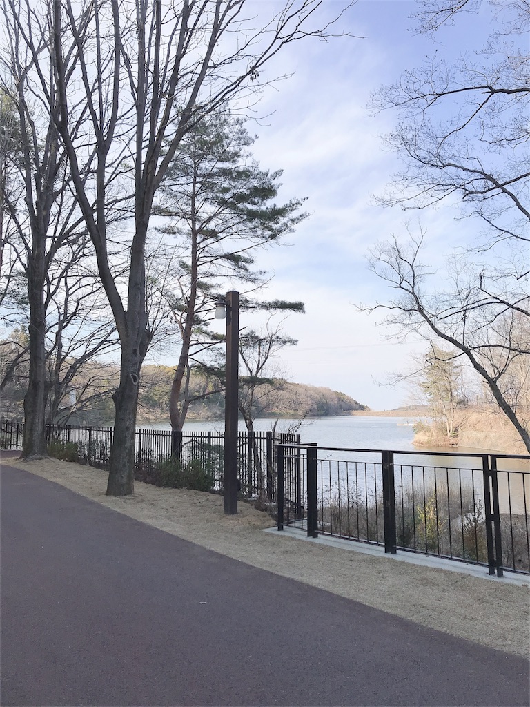 f:id:mlc510:20190320164716j:image