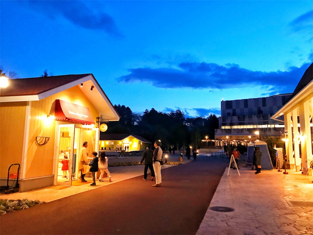 f:id:mlc510:20190320223645j:image