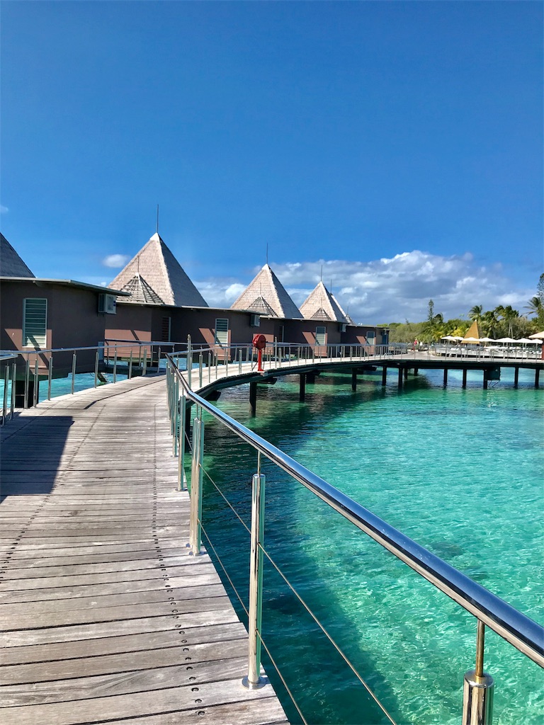 f:id:mlc510:20190411105549j:image f:id:mlc510:20190411105549j:image