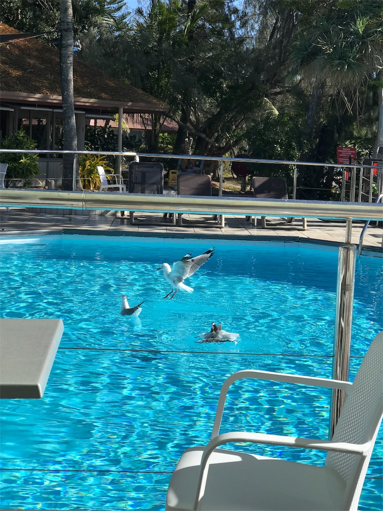 f:id:mlc510:20190411105608j:image f:id:mlc510:20190411105608j:image