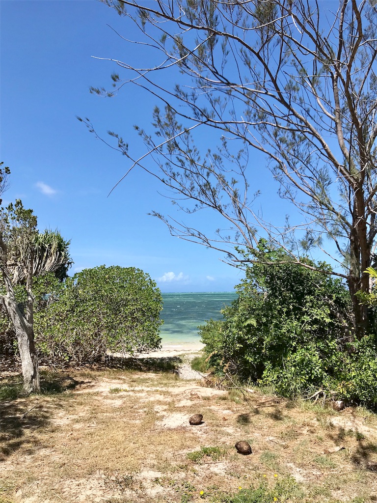 f:id:mlc510:20190411105628j:image f:id:mlc510:20190411105628j:image