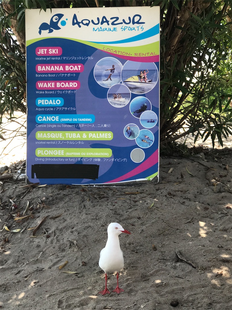 f:id:mlc510:20190411105641j:image f:id:mlc510:20190411105641j:image