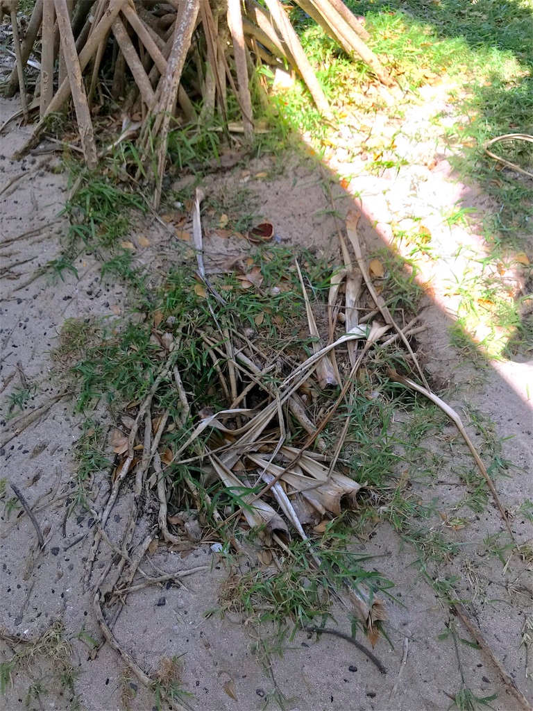 f:id:mlc510:20190411105655j:image f:id:mlc510:20190411105655j:image