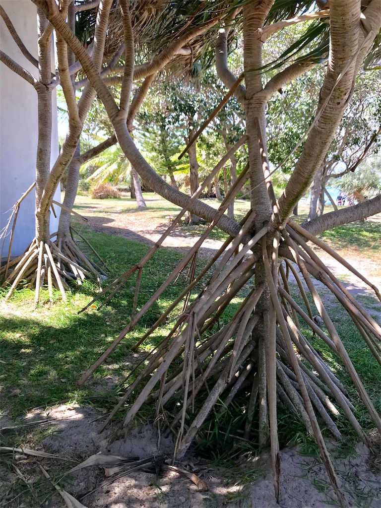 f:id:mlc510:20190411105704j:image f:id:mlc510:20190411105704j:image