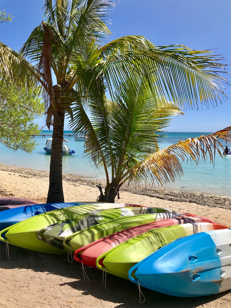 f:id:mlc510:20190411105713j:image f:id:mlc510:20190411105713j:image