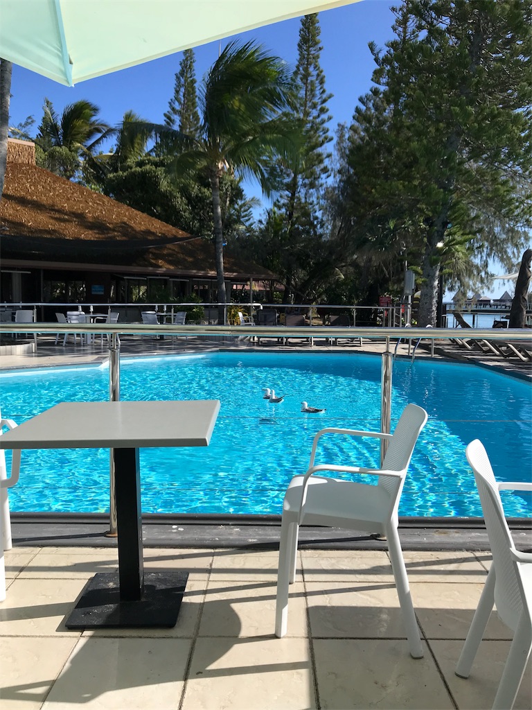 f:id:mlc510:20190411105734j:image f:id:mlc510:20190411105734j:image