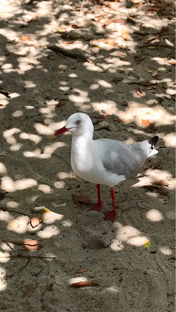 f:id:mlc510:20190411105947j:image f:id:mlc510:20190411105947j:image