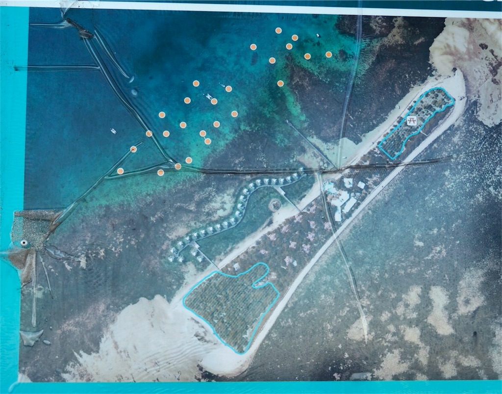 f:id:mlc510:20190411112305j:image f:id:mlc510:20190411112305j:image