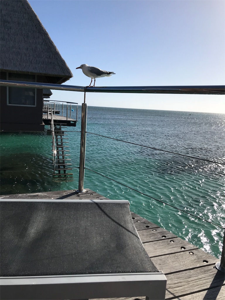 f:id:mlc510:20190412163553j:image f:id:mlc510:20190412163553j:image