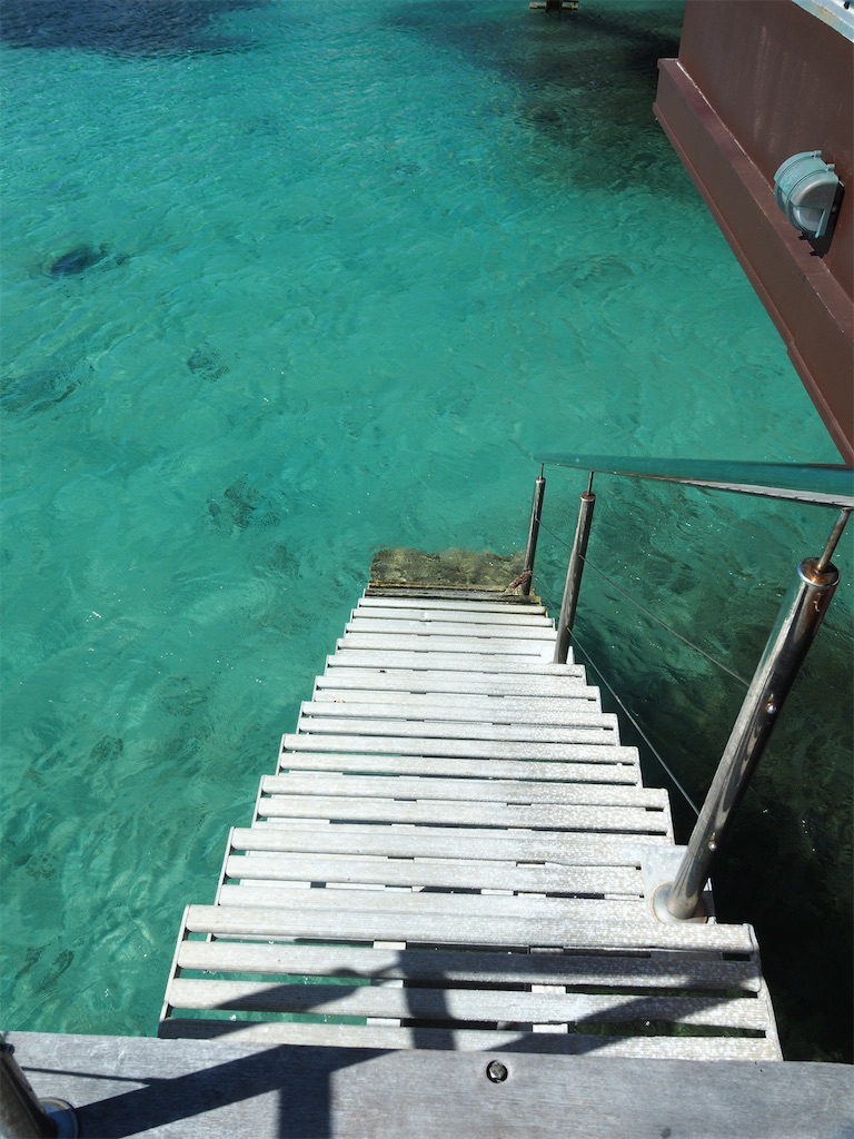 f:id:mlc510:20190412163617j:image f:id:mlc510:20190412163617j:image