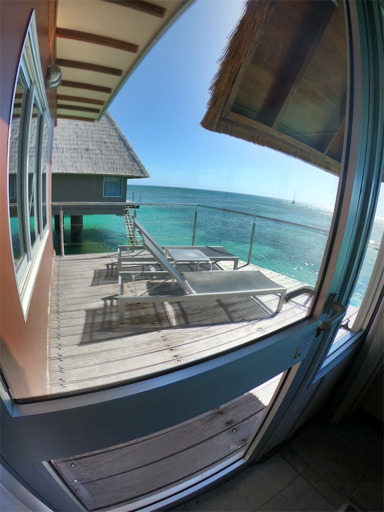 f:id:mlc510:20190412214151j:image f:id:mlc510:20190412214151j:image