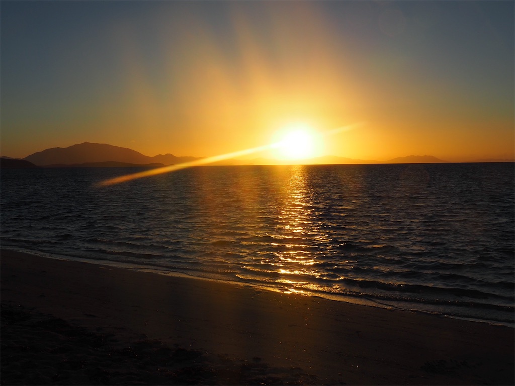 f:id:mlc510:20190415175319j:image f:id:mlc510:20190415175319j:image