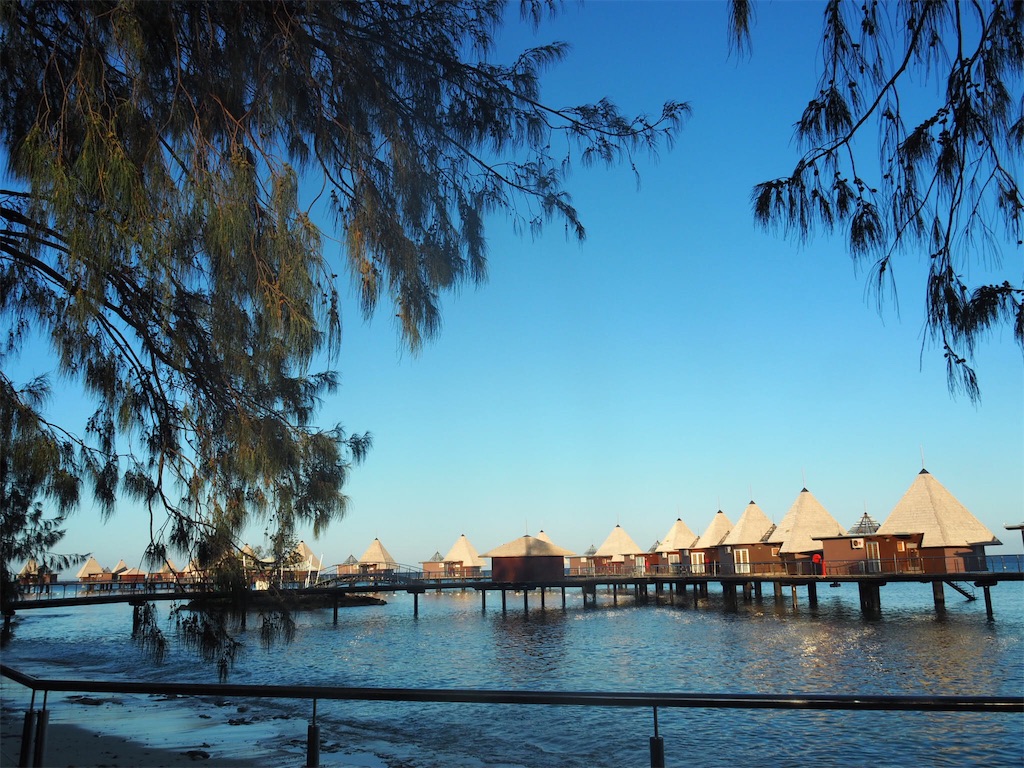 f:id:mlc510:20190415175341j:image f:id:mlc510:20190415175341j:image