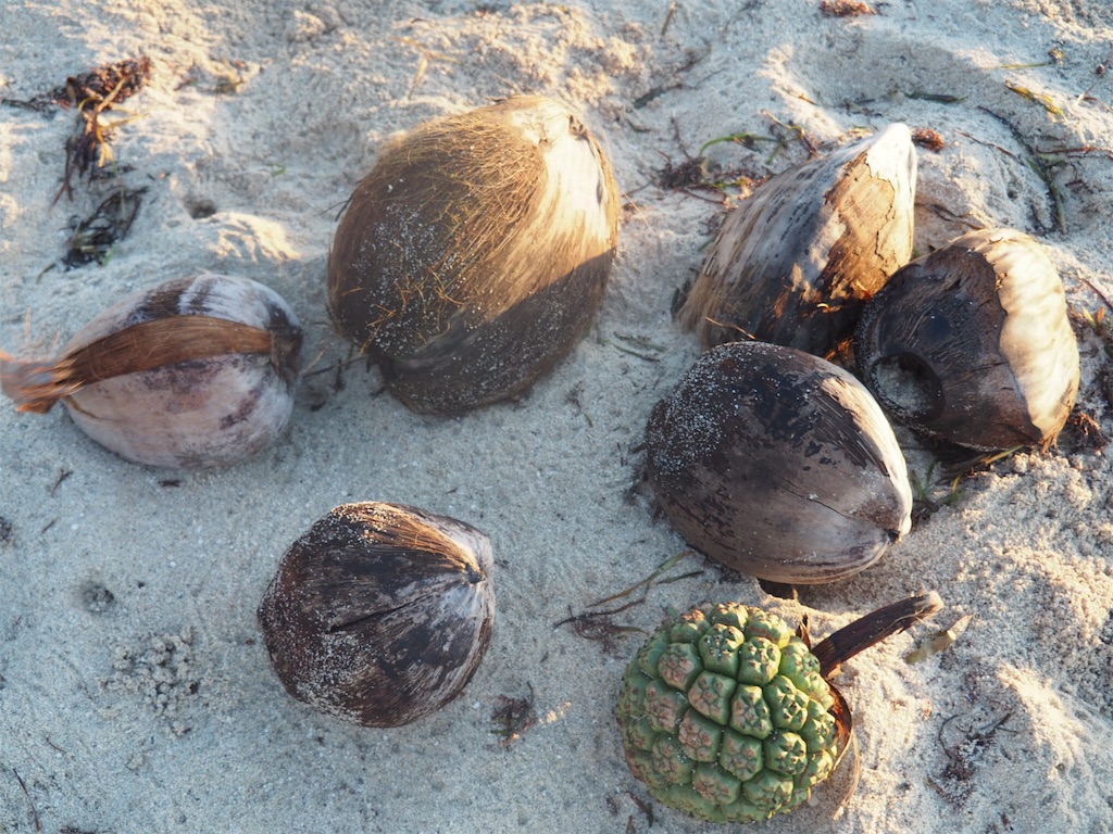 f:id:mlc510:20190415175358j:image f:id:mlc510:20190415175358j:image