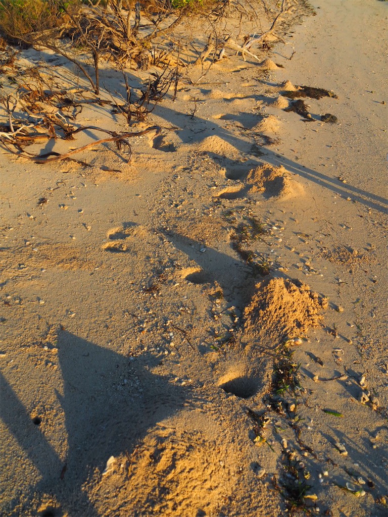 f:id:mlc510:20190415175403j:image f:id:mlc510:20190415175403j:image