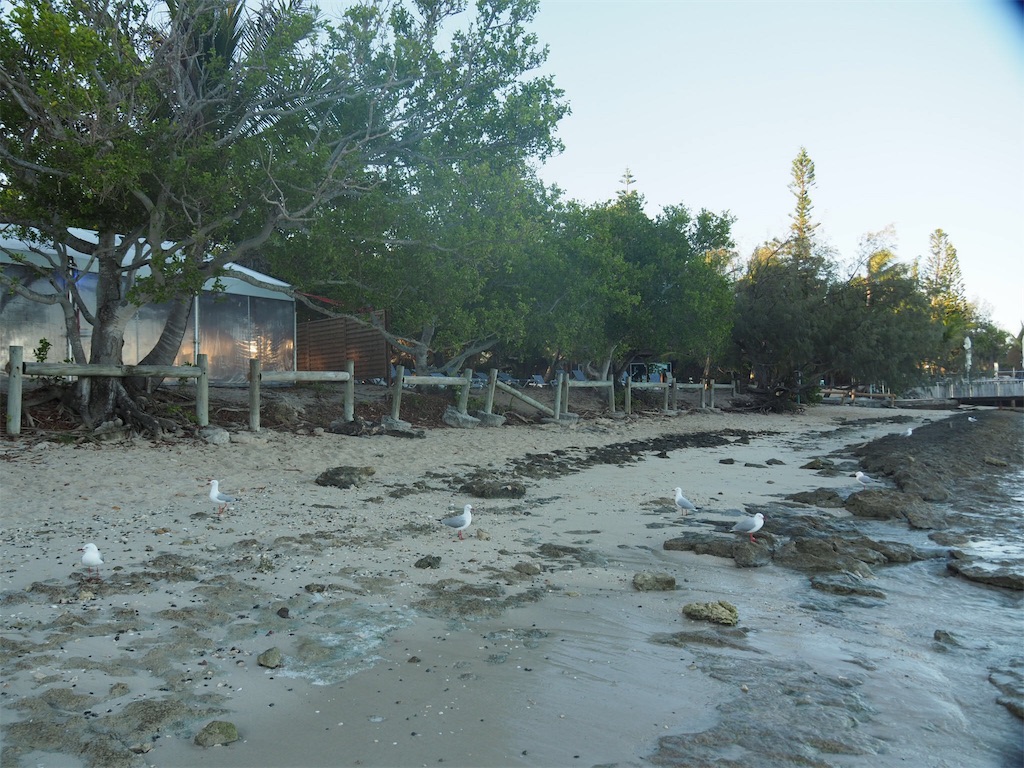 f:id:mlc510:20190415175408j:image f:id:mlc510:20190415175408j:image