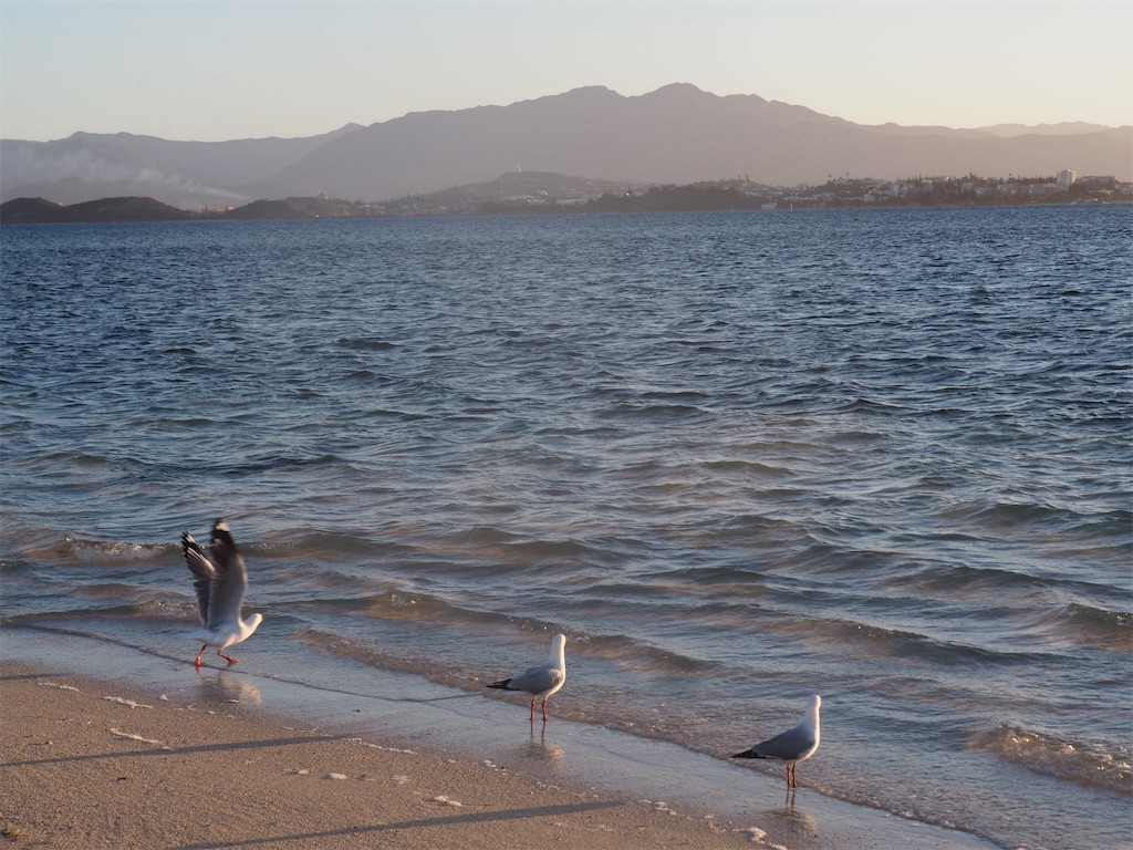 f:id:mlc510:20190415175419j:image f:id:mlc510:20190415175419j:image