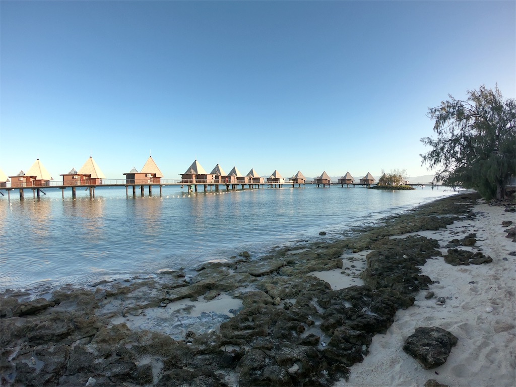 f:id:mlc510:20190415175441j:image f:id:mlc510:20190415175441j:image