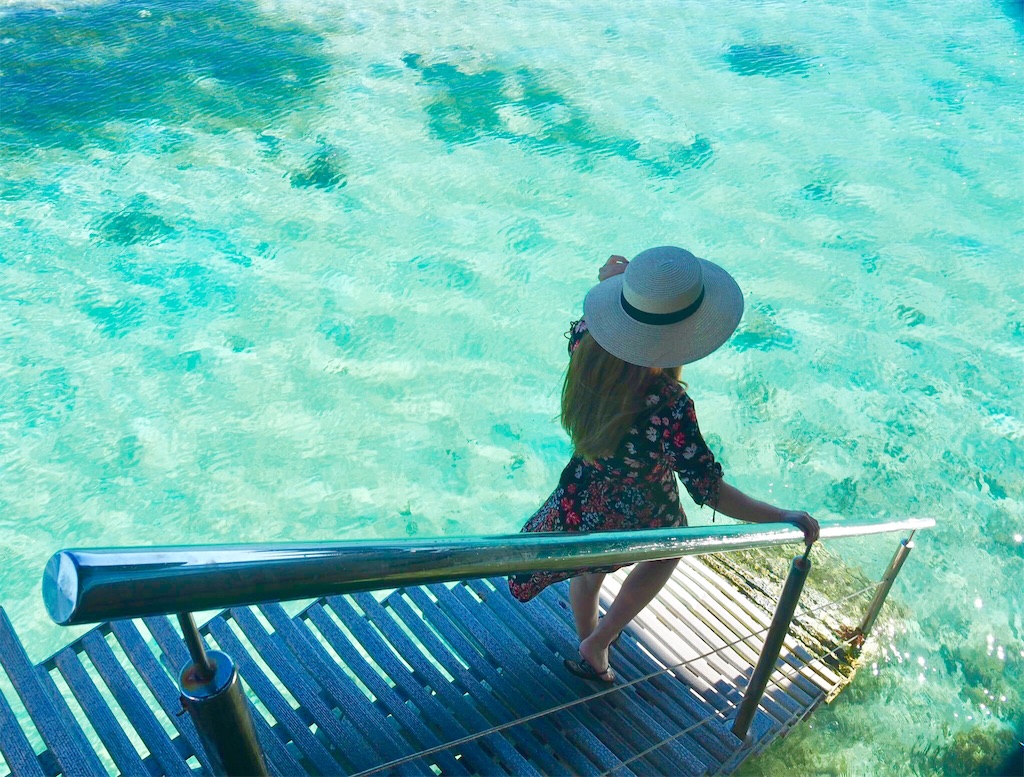 f:id:mlc510:20190415180306j:image f:id:mlc510:20190415180306j:image