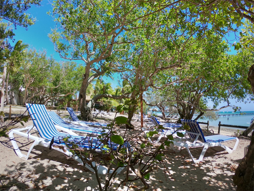 f:id:mlc510:20190415180932j:image f:id:mlc510:20190415180932j:image