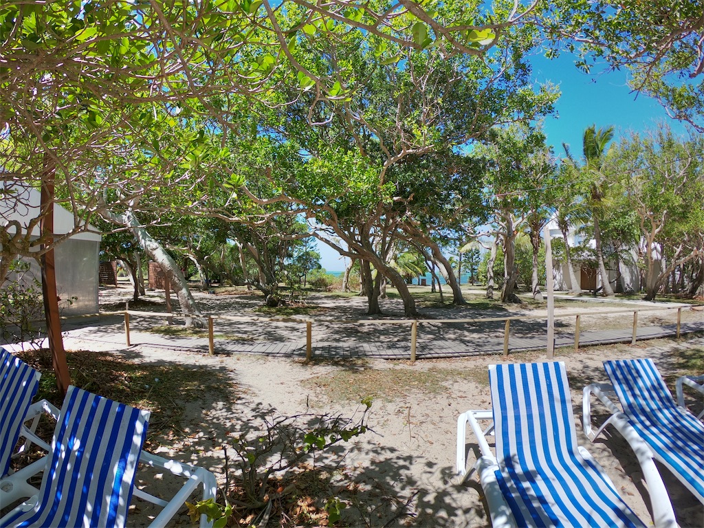 f:id:mlc510:20190415180952j:image f:id:mlc510:20190415180952j:image