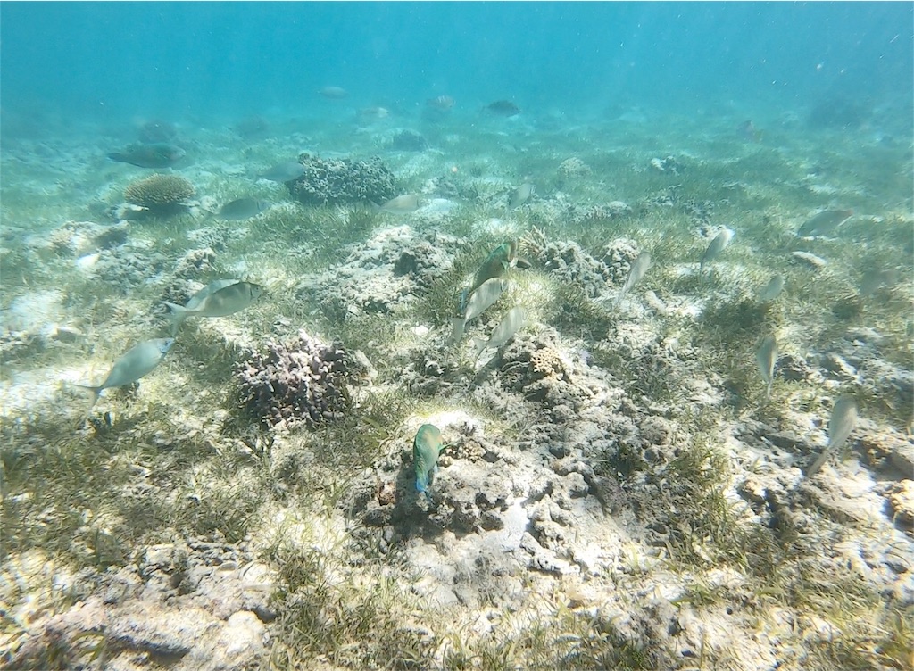 f:id:mlc510:20190416172052j:image f:id:mlc510:20190416172052j:image