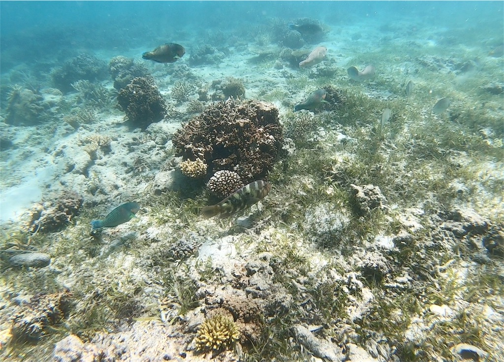 f:id:mlc510:20190416172103j:image f:id:mlc510:20190416172103j:image