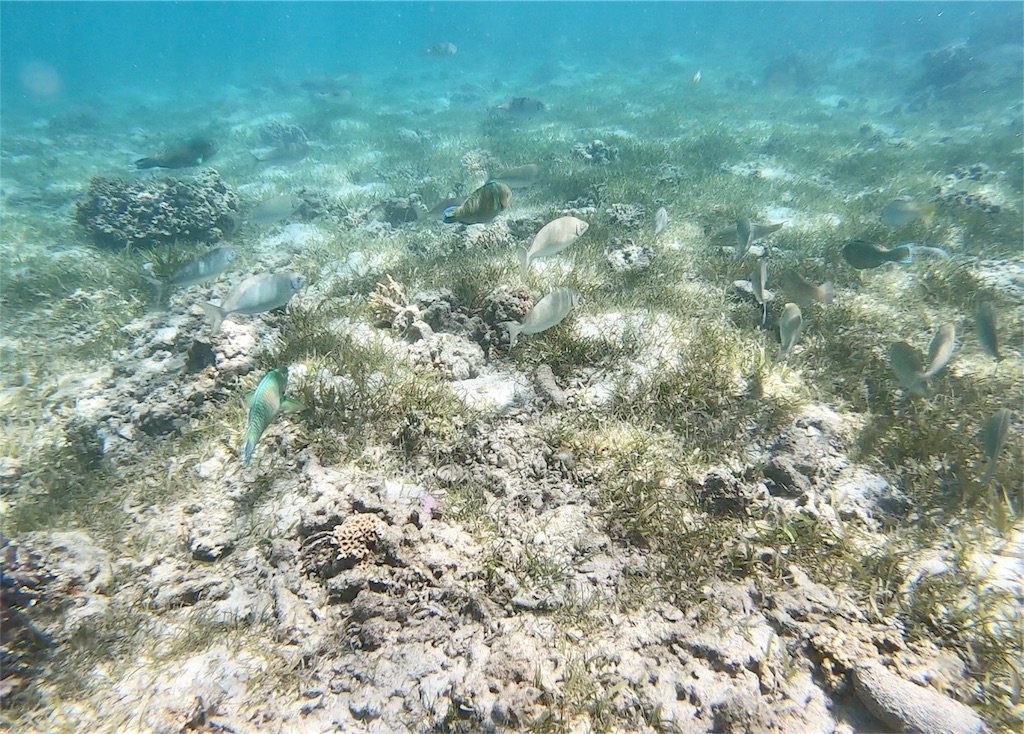 f:id:mlc510:20190416172112j:image f:id:mlc510:20190416172112j:image