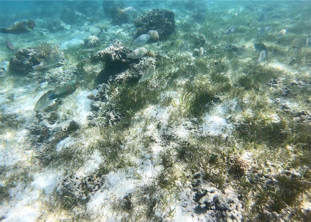 f:id:mlc510:20190416172120j:image f:id:mlc510:20190416172120j:image