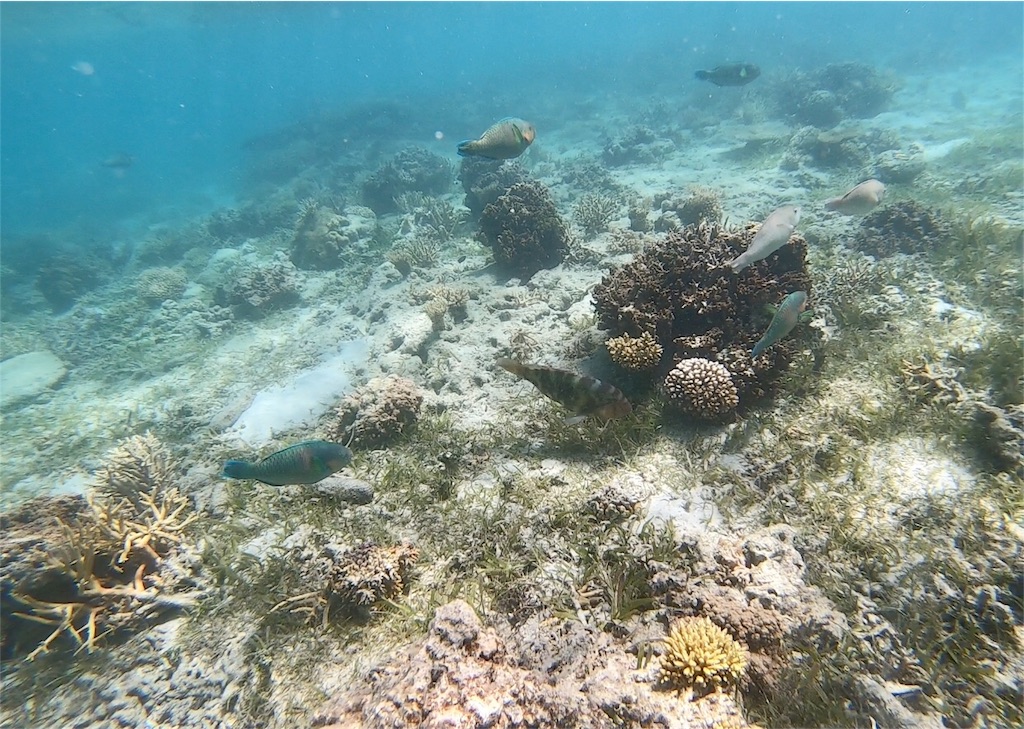 f:id:mlc510:20190416172124j:image f:id:mlc510:20190416172124j:image