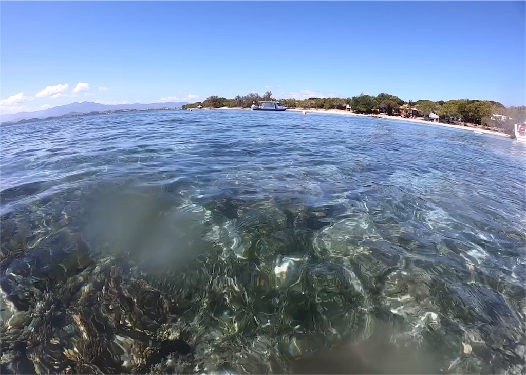 f:id:mlc510:20190416172225j:image f:id:mlc510:20190416172225j:image