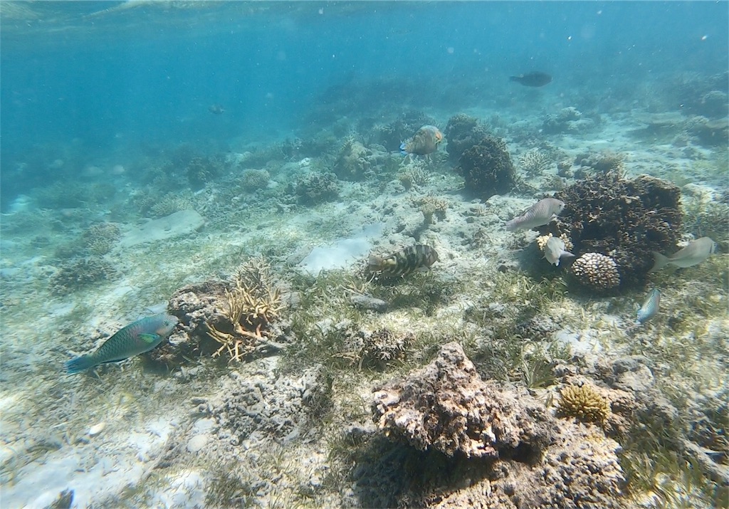 f:id:mlc510:20190416172234j:image f:id:mlc510:20190416172234j:image