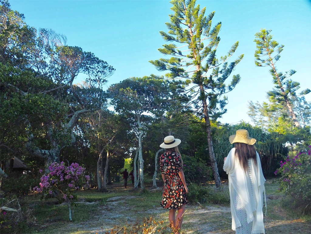 f:id:mlc510:20190416215439j:image f:id:mlc510:20190416215439j:image