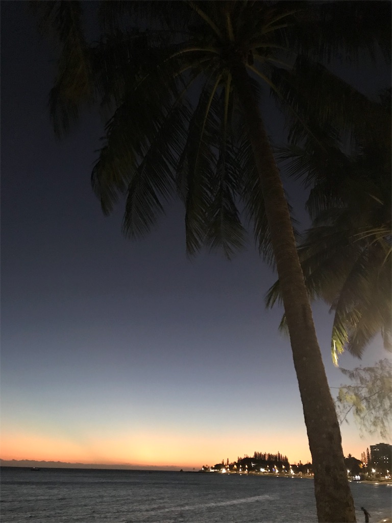 f:id:mlc510:20190416220652j:image f:id:mlc510:20190416220652j:image