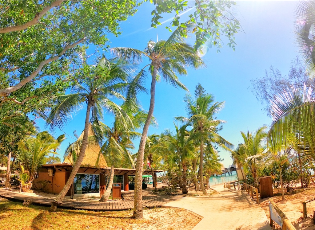 f:id:mlc510:20190417082738j:image f:id:mlc510:20190417082738j:image