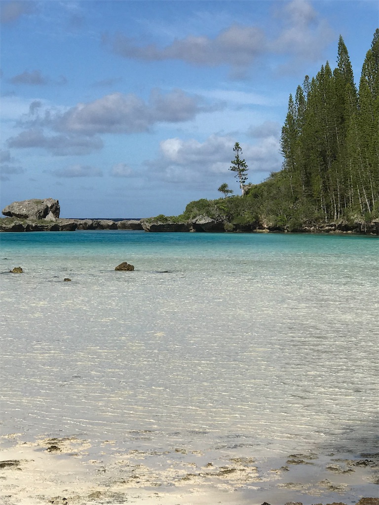 f:id:mlc510:20190423231419j:image