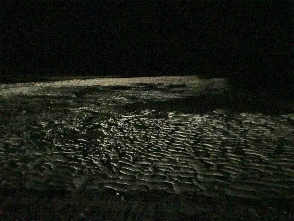 f:id:mlc510:20190426222532j:image