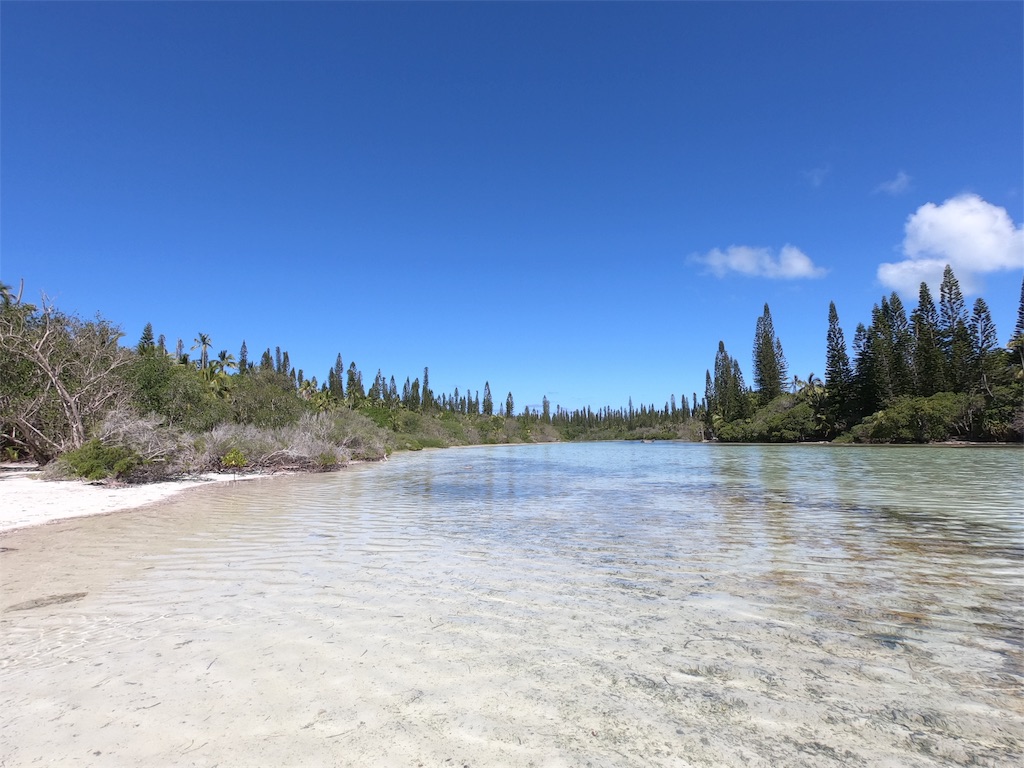 f:id:mlc510:20190428232722j:image