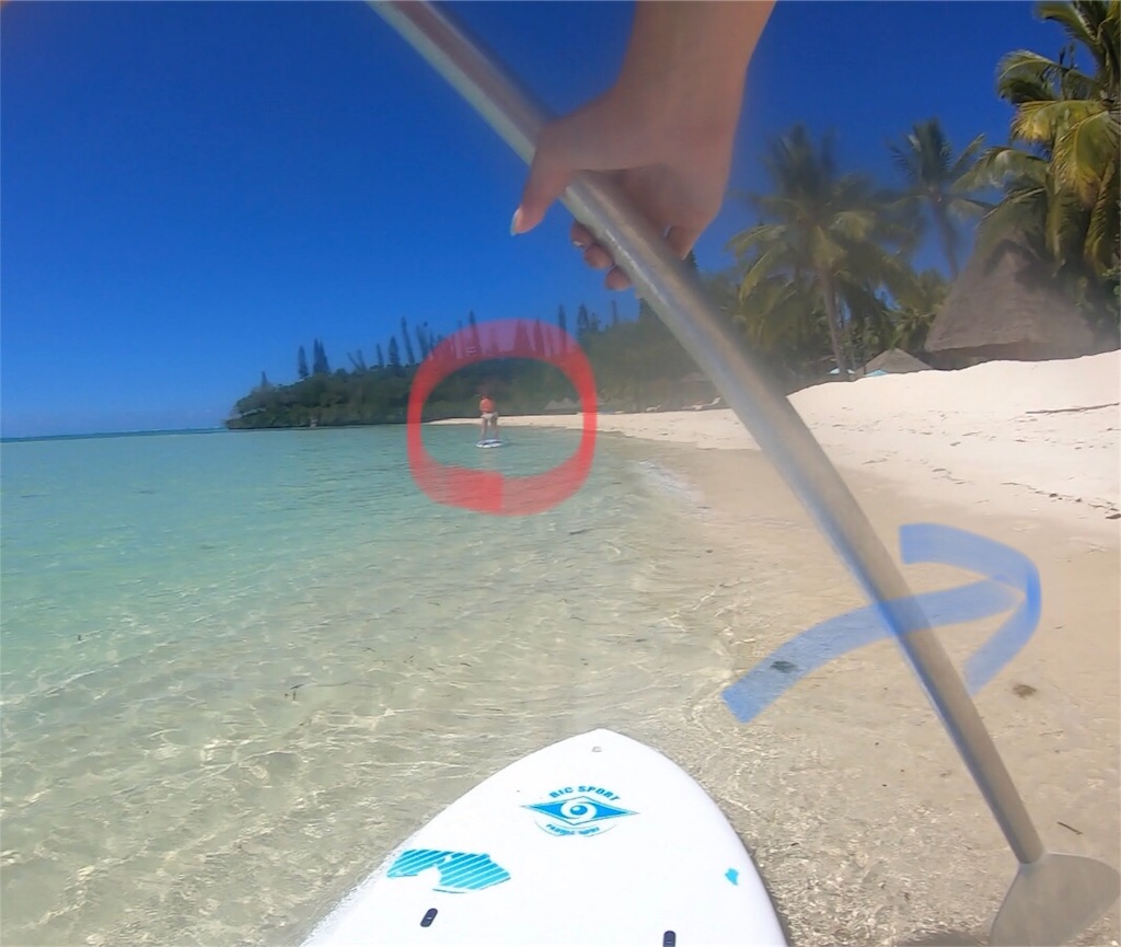 f:id:mlc510:20190429094135j:image