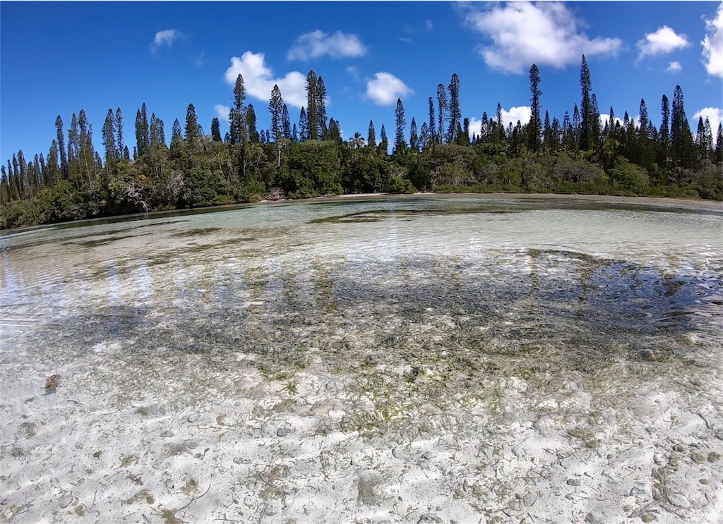 f:id:mlc510:20190429101834j:image