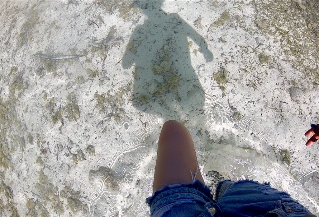 f:id:mlc510:20190429101852j:image