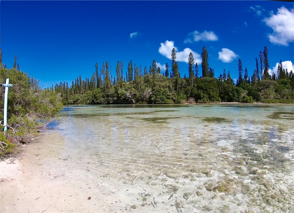 f:id:mlc510:20190429101946j:image