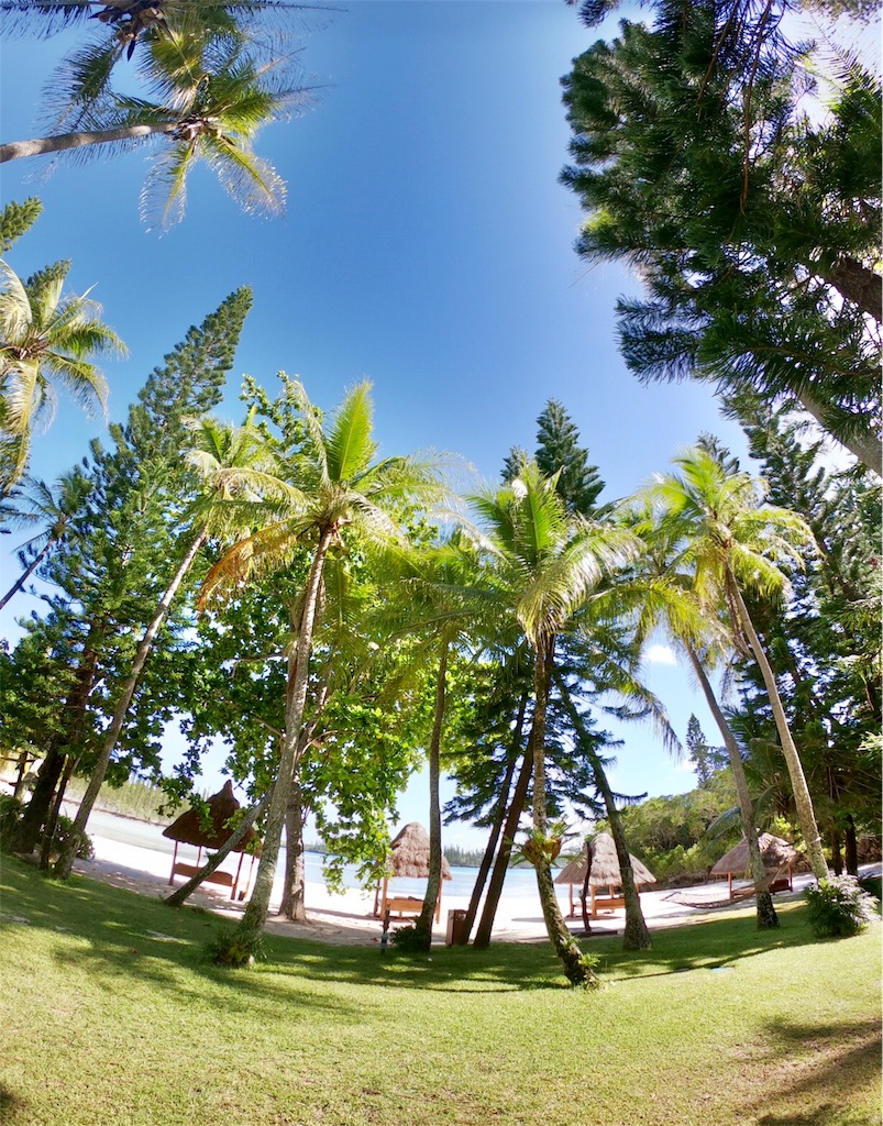 f:id:mlc510:20190429111922j:image