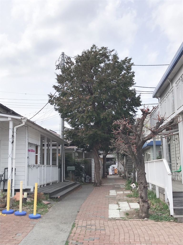 f:id:mlc510:20190507140114j:image