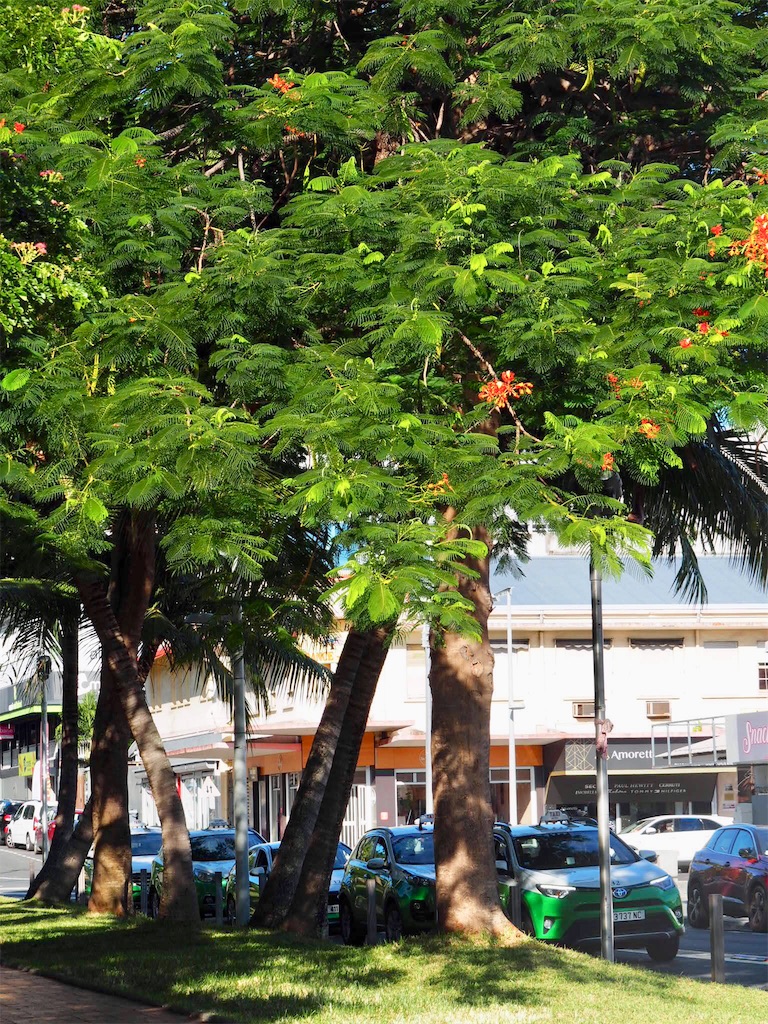 f:id:mlc510:20190512102227j:image f:id:mlc510:20190512102227j:image