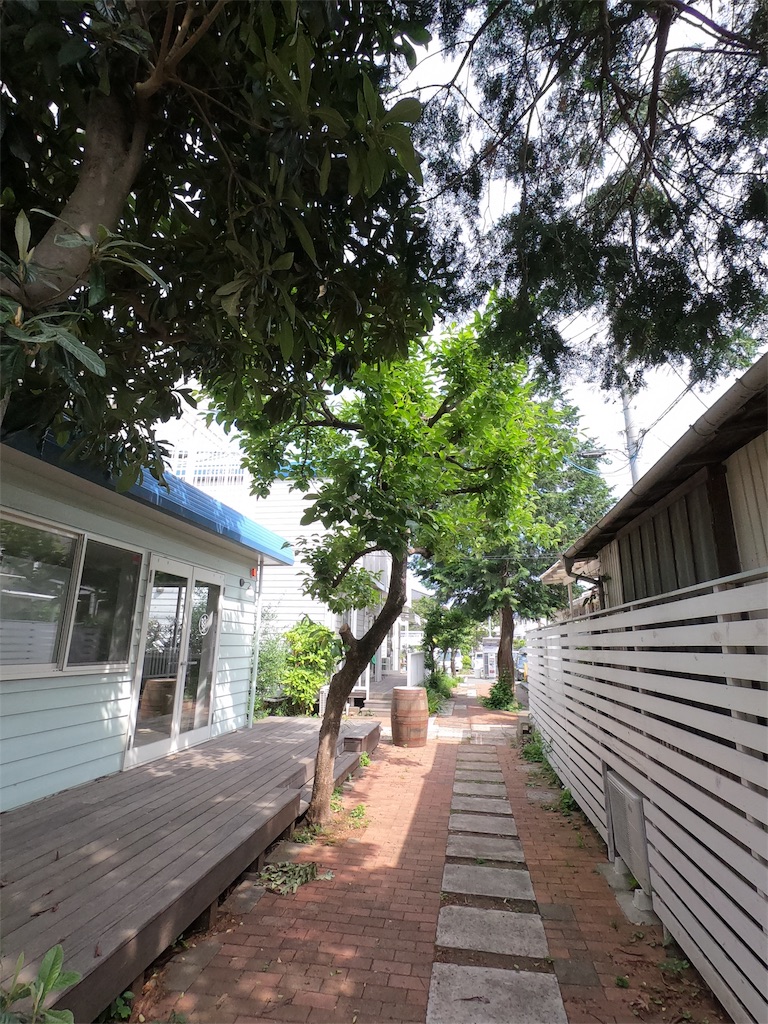 f:id:mlc510:20190526194136j:image