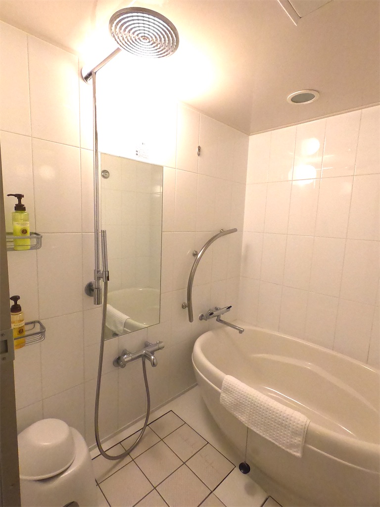 f:id:mlc510:20201002182449j:image